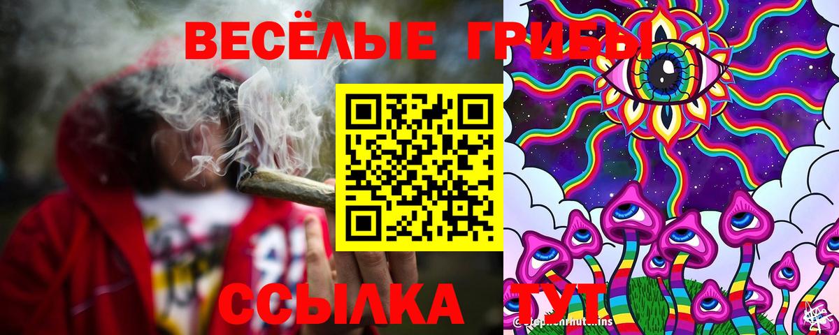 Ангарск  Галлюциногенные грибы Magic Shrooms  как найти закладки  Вход с VPN  Псилоцибиновые грибы GOLDEN TEACHER 